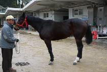 �������дϾ� (HAPPY COMPANION) ����