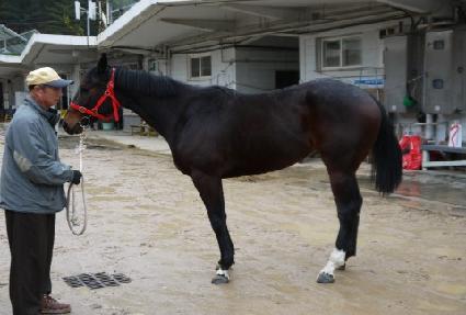 �������дϾ� ����