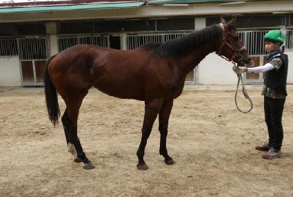 ������� ����