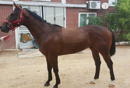 �۷ι��ڸ��� ����