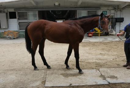 ������ ����