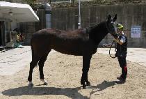 �ڼ����� (JASEONG GUNJU) ����