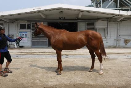 �Ƹ��ٿ���� ����