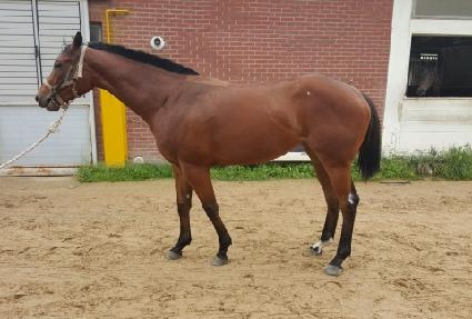 �赵��ȭ ����