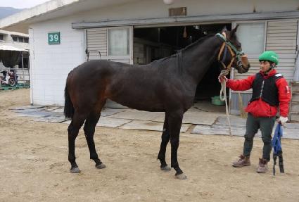 ����Ʈ�� ����