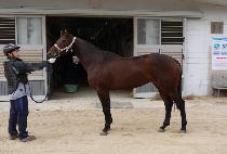 ������ħ (SAETBYEOL ACHIM) ����