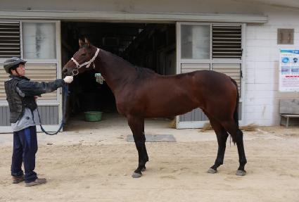 ������ħ ����