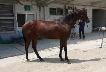 ��弱���� (GOLD SUNDAY) ����