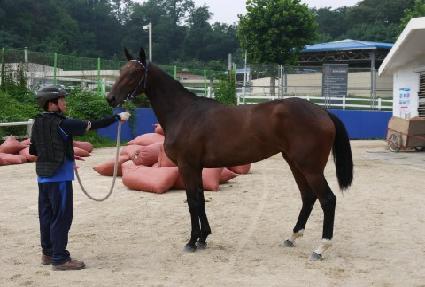 �����ְ� ����