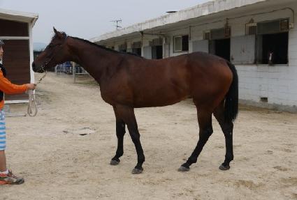 ����Ʈ�� ����