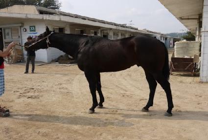 �����Ӱ�� ����