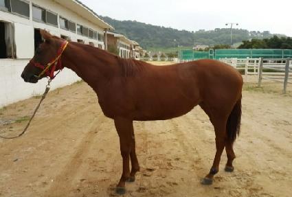 �ε��������� ����