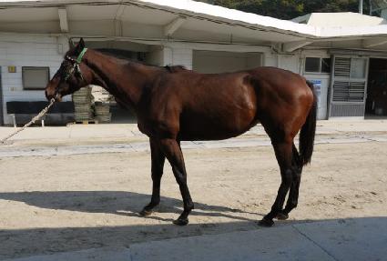 �ֱؼ� ����