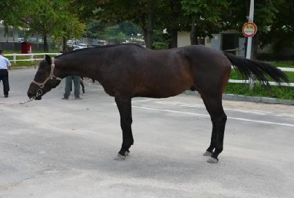 �����ü ����