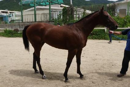 �Ӻ��ٸ� ����