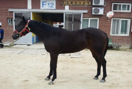 �������� ����