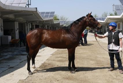 �ش� ����