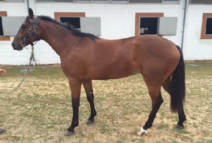 ���Ư�� ����