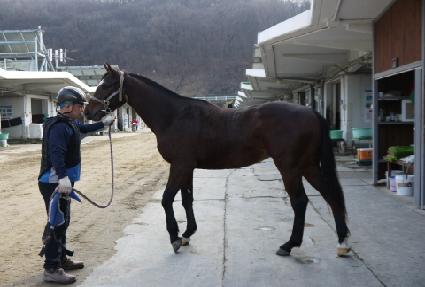 ������ġ ����