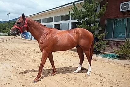 �׷����� ����