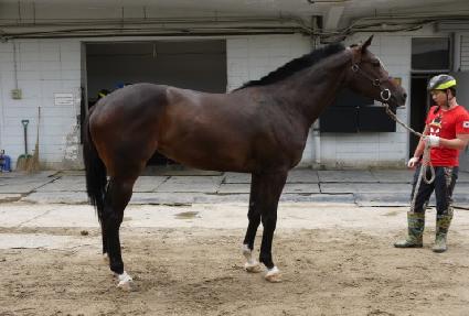 õ��ž ����