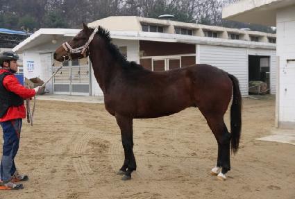 �����ѿ��� ����