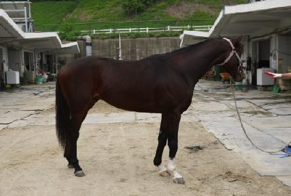 ���Ʒ�ġ ����