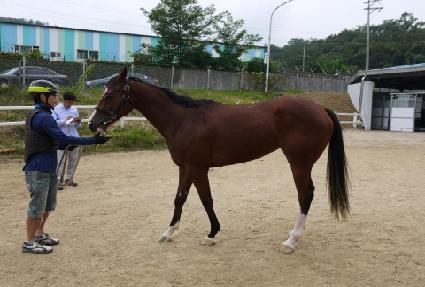 ���̳� ����