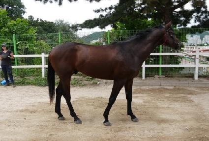 ���è�Ǿ� ����