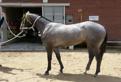 ���������� ����