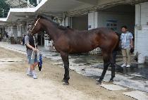 ĸƾĹ (CAPTAIN CAT) ����