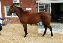 û���� (CHEONGCHUN DAERO) ����