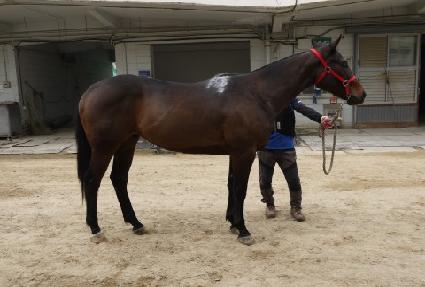 ����ź�� ����