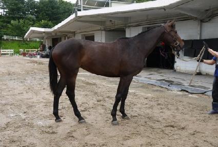 �θ��� ����