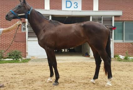 ���������� ����