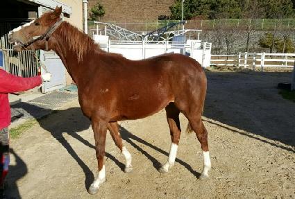 ���̵� ����