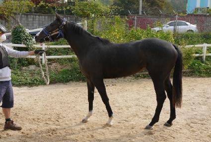 �������̵� ����