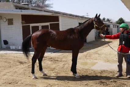 ��� ����