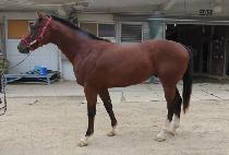 ģģ§ (CIN CIN JJAN) ����