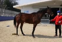 ���忩�屺 (TOKTOK YEOJANGGUN) ����