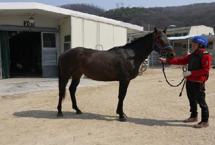 ���� ����