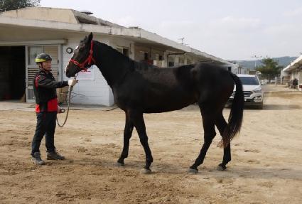 ������ ����