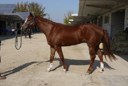 ���Ƿ��� ����