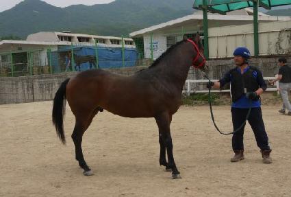 ������Ÿ ����