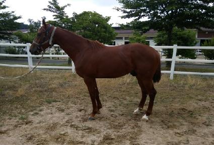 ���ʸ��� ����