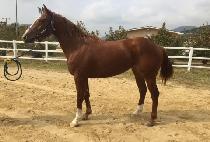 �¾籤�� (TAEYANG GWANGSOK) ����