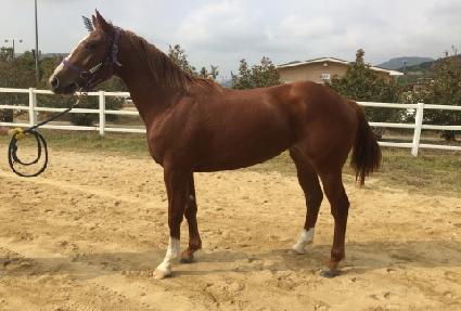 �¾籤�� ����