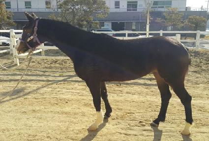 ����Ŀ�� ����