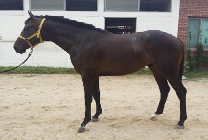 ��Ÿ�ϸ��� ����