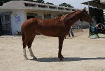 �ƿ� (AWON) ����